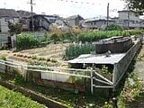 奈良県北葛城郡王寺町の国税庁公売物件 86万円 農地 177m²