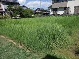兵庫県豊岡市の国税庁公売物件 93万円 農地 429m²