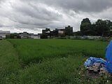 大阪府茨木市の国税庁公売物件 346万円 農地 1,852m²
