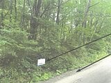 栃木県那須郡那須町の競売物件 108万円 土地 765m²