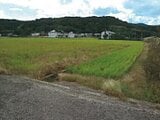 和歌山県日高郡日高町の競売物件 143万円 農地 2,668m²
