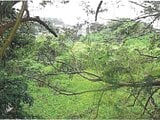 沖縄県うるま市の競売物件 169万円 土地 556m²