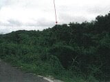 沖縄県うるま市の競売物件 50万円 農地 527m²
