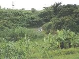沖縄県国頭郡金武町の競売物件 133万円 農地 536m²