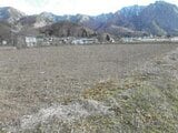 長野県上田市の競売物件 38万円 農地 1,262m²