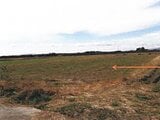 宮崎県児湯郡新富町の競売物件 38万円 農地 1,694m²