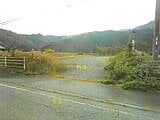 鳥取県八頭郡八頭町の競売物件 527万円 土地 3,340m²