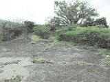 徳島県小松島市の競売物件 174万円 戸建て 73m²