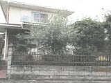 徳島県板野郡藍住町の競売物件 544万円 戸建て 99m²