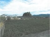 徳島県阿波市の競売物件 139万円 農地 4,998m²