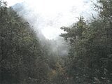 岐阜県高山市の競売物件 211万円 土地 233,759m²