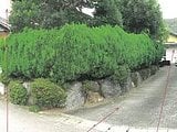 岐阜県岐阜市の競売物件 790万円 戸建て 316m²