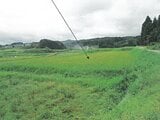 富山県富山市の競売物件 5,000円 農地 1,494m²