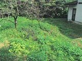 富山県富山市の競売物件 1万円 農地 266m²