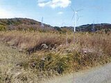 愛知県田原市の競売物件 42万円 農地 1,727m²