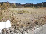 愛知県田原市の競売物件 23万円 農地 1,060m²