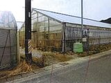 愛知県田原市の競売物件 57万円 農地 1,740m²