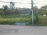 北海道札幌市西区の競売物件 898万円 土地 807m²