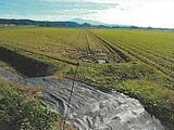 秋田県由利本荘市の競売物件 102万円 農地 3,652m²