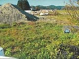 秋田県由利本荘市の競売物件 147万円 土地 983m²