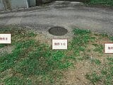 山梨県大月市の競売物件 84万円 農地 319m²