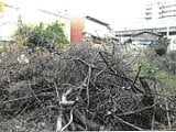大阪府八尾市の競売物件 463万円 土地 201m²