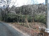 埼玉県比企郡嵐山町の競売物件 21万円 土地 313m²