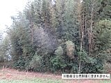 千葉県市原市の国税庁公売物件 11万円 土地 766m²