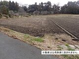 千葉県大網白里市の国税庁公売物件 17万円 農地 895m²