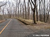 栃木県那須郡那須町の国税庁公売物件 27万円 土地 400m²