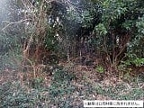 千葉県安房郡鋸南町の国税庁公売物件 60万円 土地 4,754m²
