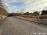 香川県小豆郡小豆島町の国税庁公売物件 90万円 土地 6,734m²