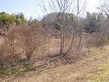 千葉県印西市の国税庁公売物件 140万円 農地 3,603m²
