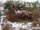 神奈川県横浜市戸塚区の国税庁公売物件 250万円 農地 173m²