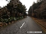 静岡県伊東市の国税庁公売物件 260万円 土地 10,512m²