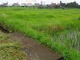 群馬県太田市の国税庁公売物件 47万円 農地 3,870m²