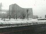 新潟県南魚沼市の競売物件 1万円 マンション 32m²