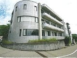 石川県金沢市の競売物件 4,885万円 戸建て 1,323m²