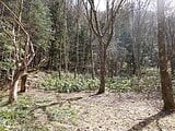 岐阜県高山市の国税庁公売物件 6万円 土地 8,786m²