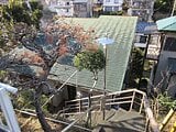 静岡県田方郡函南町の国税庁公売物件 59万円 戸建て 110m²