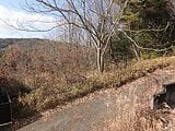 愛知県瀬戸市の国税庁公売物件 127万円 土地 330m²