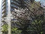 東京都町田市の競売物件 1,824万円 マンション 94m²