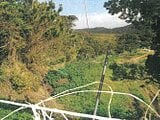 沖縄県名護市の競売物件 3,090万円 土地 91,980m²