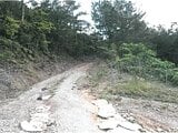 沖縄県国頭郡大宜味村の競売物件 275万円 農地 13,601m²