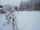 青森県八戸市の競売物件 26万円 土地 508m²