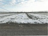 福井県坂井市の競売物件 97万円 農地 2,700m²