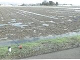 福井県坂井市の競売物件 188万円 農地 5,061m²