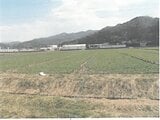 福井県福井市の競売物件 50万円 農地 1,670m²
