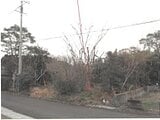 宮崎県日南市の競売物件 58万円 土地 572m²