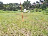 岡山県美作市の競売物件 124万円 土地 664m²